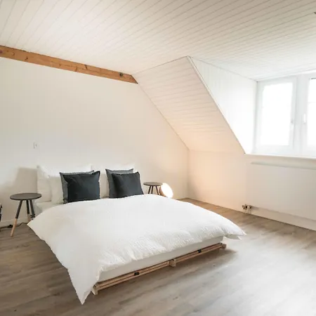 Appartement Loewenplatz Near Station By Airhome Zurich