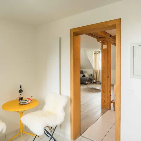 Appartement Loewenplatz Near Station By Airhome Zurich