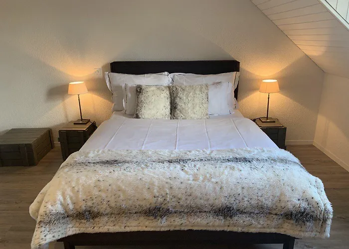 لوفينبلاتز بالقرب من ستيشين باي إيرهوم شقة زيورخ