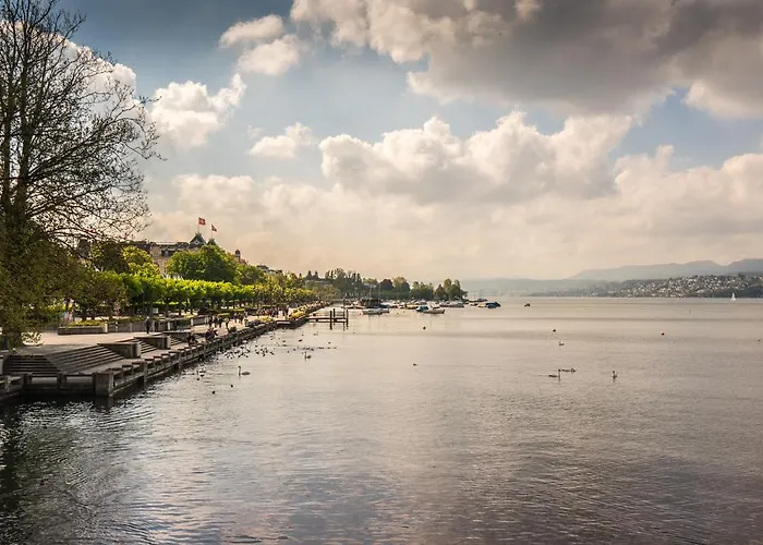 لوفينبلاتز بالقرب من ستيشين باي إيرهوم زيورخ