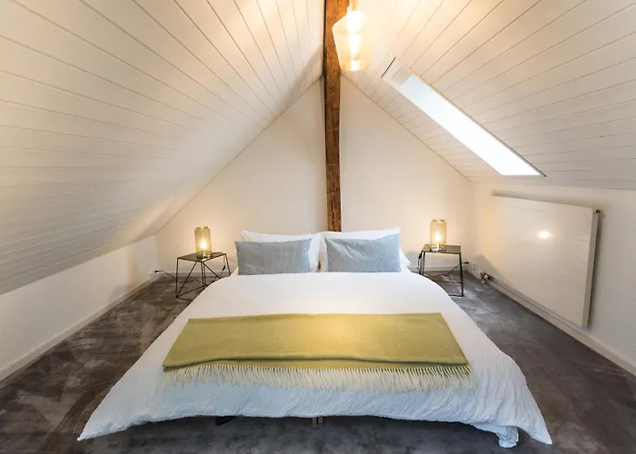 لوفينبلاتز بالقرب من ستيشين باي إيرهوم زيورخ